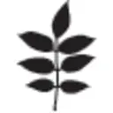 Pure Plant Home